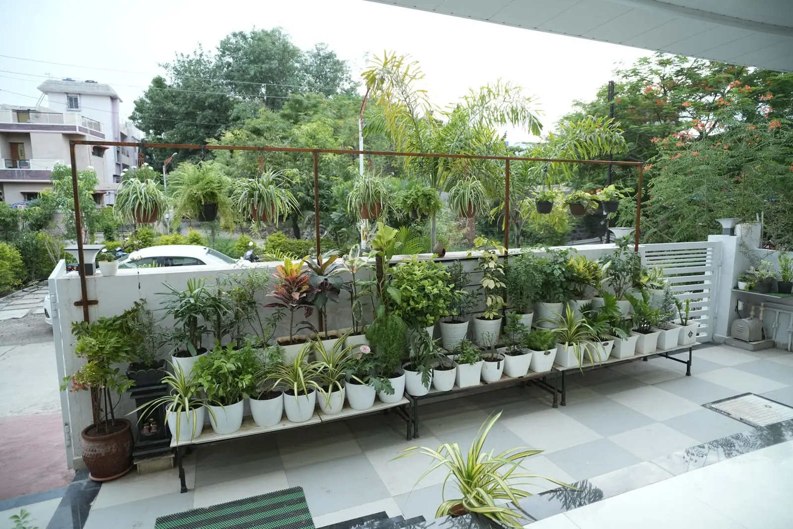 Terrace — a long planter shelf along the parapet, overlooking the street.